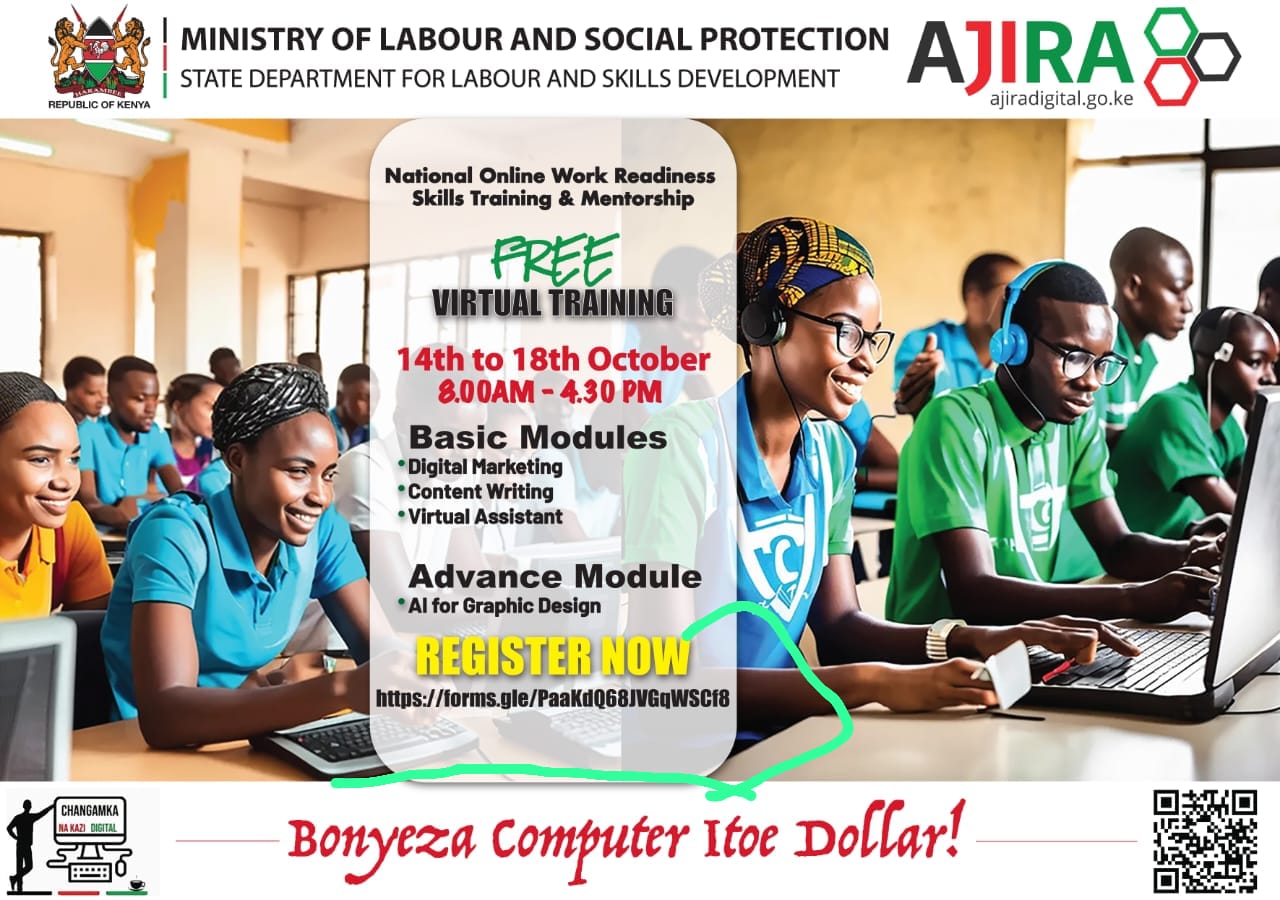 NATIONAL ONLINE WORK READINESS SKILLS TRAINING AND MENTORSHIP PROGRAMME